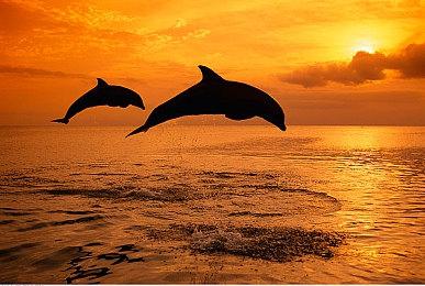 《暗黑4》1.3.2补丁日志 2月14日上线